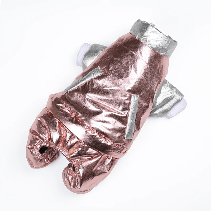 Portable Foldable Pet Water Bottle with Food Container for Travel Adventures