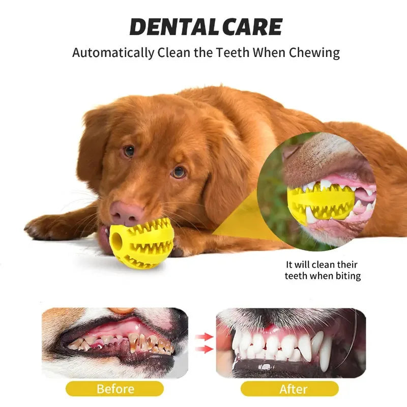 Rubber Ball Chew Toy for Dogs and Cats