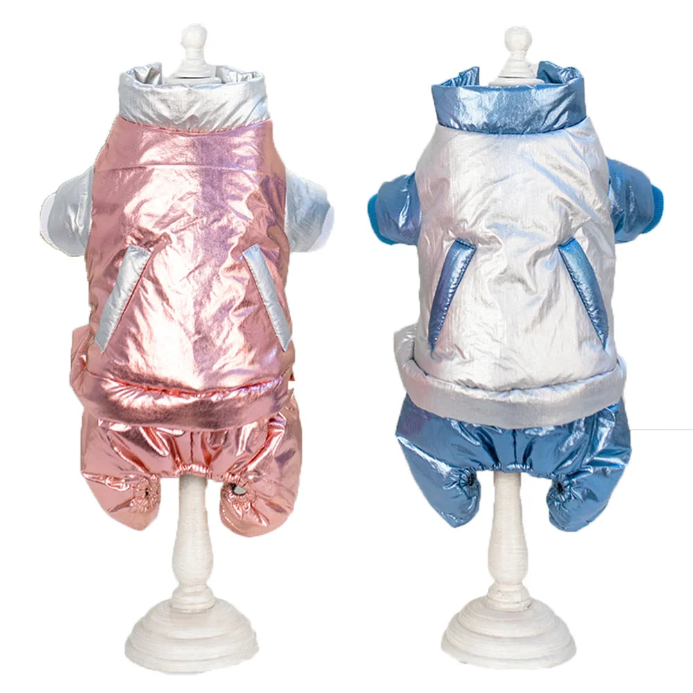 Portable Foldable Pet Water Bottle with Food Container for Travel Adventures
