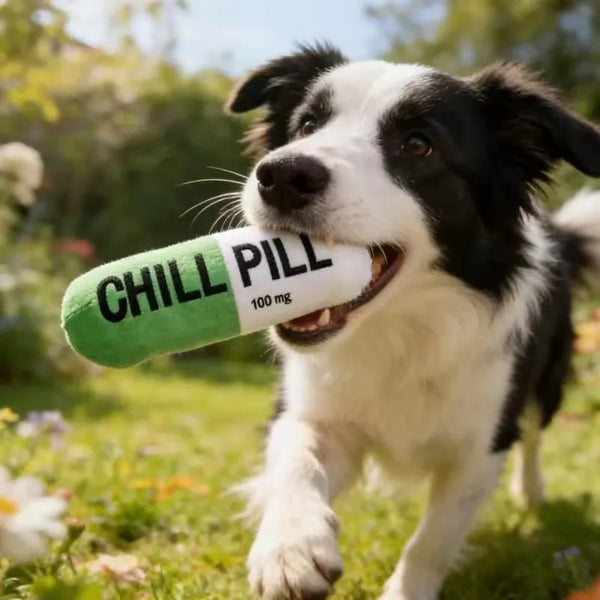Pet Pill Capsule Plush Dog Chew Toy
