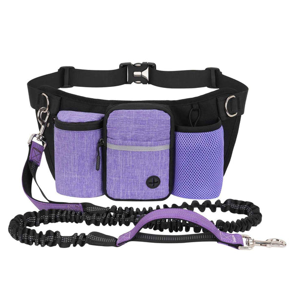 Dog Treat Pouch Waist Bag – Portable Training Pouch for Walks & Outdoors