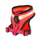 Rechargeable Mesh LED Lighted Dog Harness for Safe Night Walks