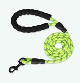 Reflective Dog Leash for Safer Night Walking and Control