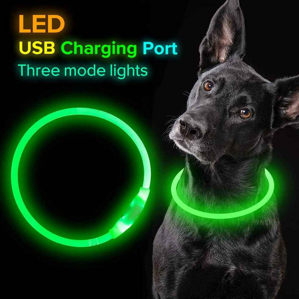 USB Rechargeable Flashing Pet Safety Collar for Night Walking