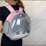 Transparent Small Pet Backpack for Travel Adventures