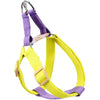 No-Pull Nylon Harness, Collar and Leash Set for Small Dogs