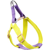 No-Pull Nylon Harness, Collar and Leash Set for Small Dogs