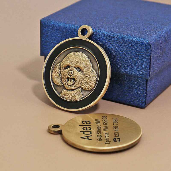 Personalized Anti-Lost Metal ID Tag for Dogs and Cats