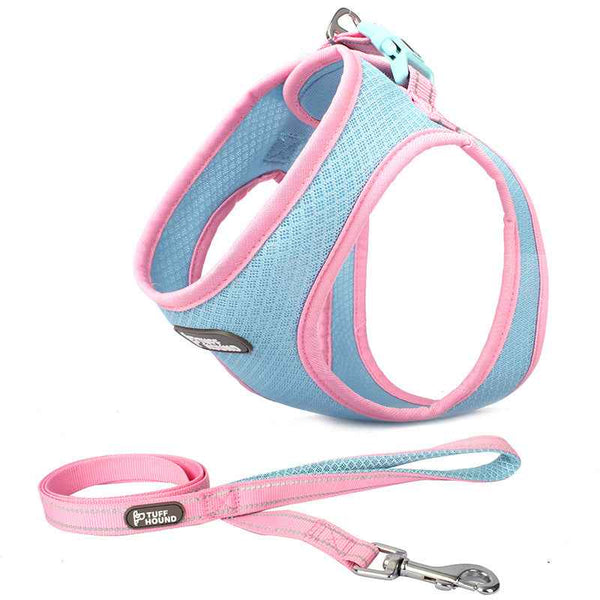 Adjustable Chest Harness and Leash Set for Cats and Dogs
