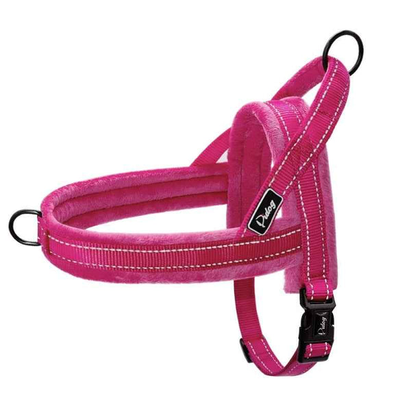 No-Pull Padded Dog Harness with Leash for Comfortable Daily Walks