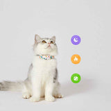 PETKIT Fit Smart Pet Collar Tag — Bluetooth Activity, Sleep & Locator Tracker