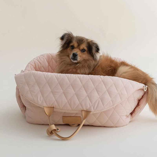 Portable Outdoor Pet Handbag Carrier for Cats and Small Dogs