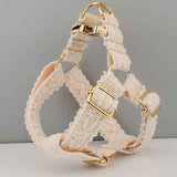 Elegant Leaf Pattern Pet Collar with Gold Buckle for Stylish Comfort