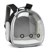 Transparent Small Pet Backpack for Travel Adventures