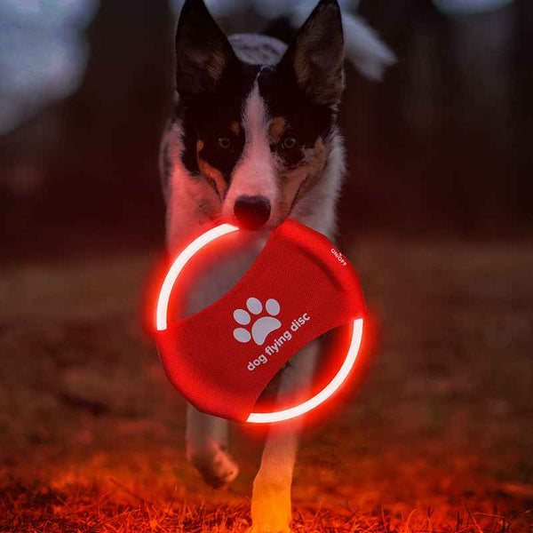 Rechargeable LED Flying Disc for Interactive Nighttime Dog Training Games