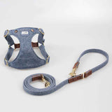 Cute Adjustable Teddy Harness for Comfortable Small Dog Daily Walks