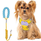 Escape-Proof No-Pull Harness with Multifunction Leash for Medium Dogs