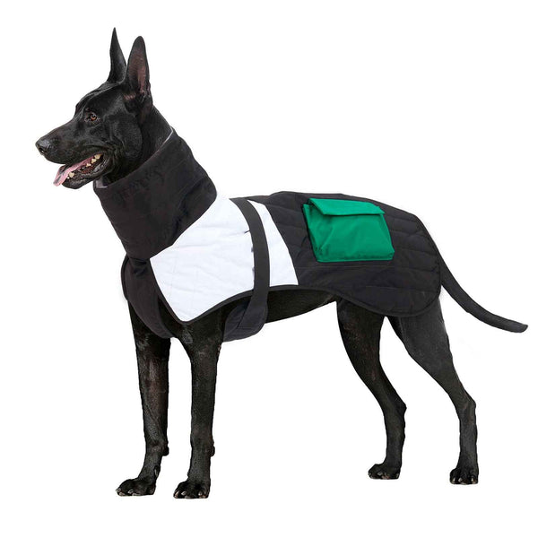 Thickened Warm Winter Dog Coat for Cold Weather Walks