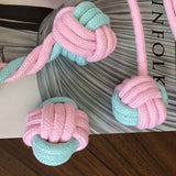 Interactive Dog Chew Toy for Training Dental Care and Lasting Fun
