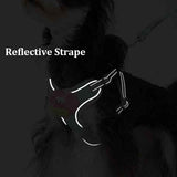 Escape-Proof No-Pull Harness with Multifunction Leash for Medium Dogs