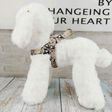 Soft Snake Pattern Pet Harness and Leash Set