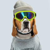 Fashion Outdoor Dog Sunglasses